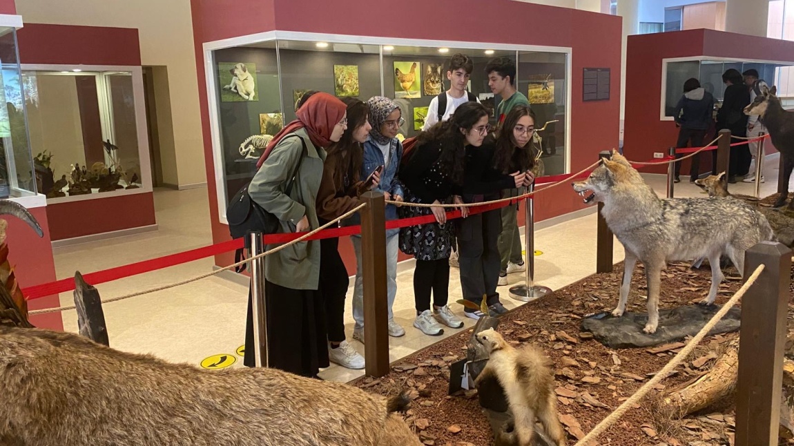 Hacettepe Üniversitesi Biyosfer Müzesi Gezisi